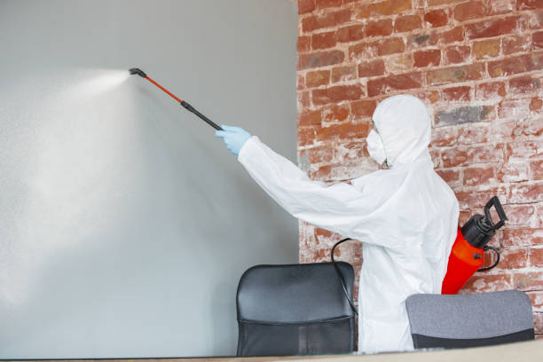 Best Emergency Mold Remediation  in Waynesboro, GA