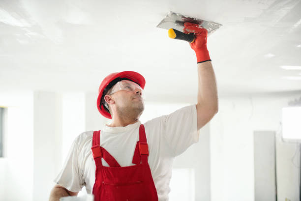 Best Dehumidification Services  in Waynesboro, GA