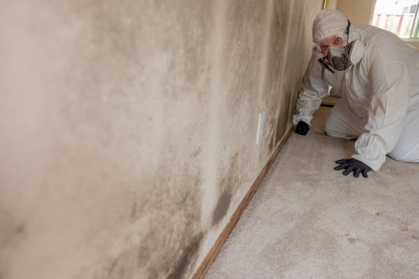 Best Mold Prevention Services  in Waynesboro, GA