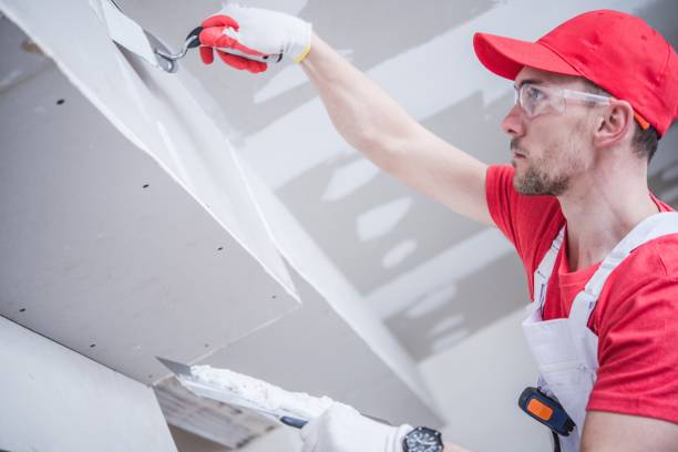 Best Environmental Consulting for Mold Prevention  in Waynesboro, GA