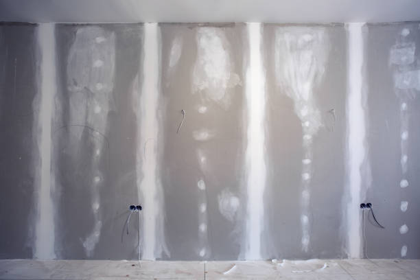Best Mold Remediation for Healthcare Facilities  in Waynesboro, GA